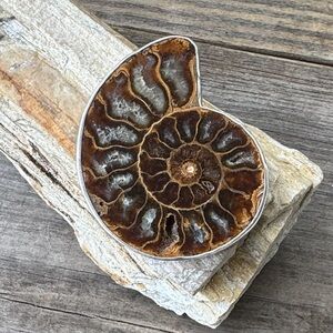 Artisan made Sterling Silver Pendant with Ammonite Fossil
